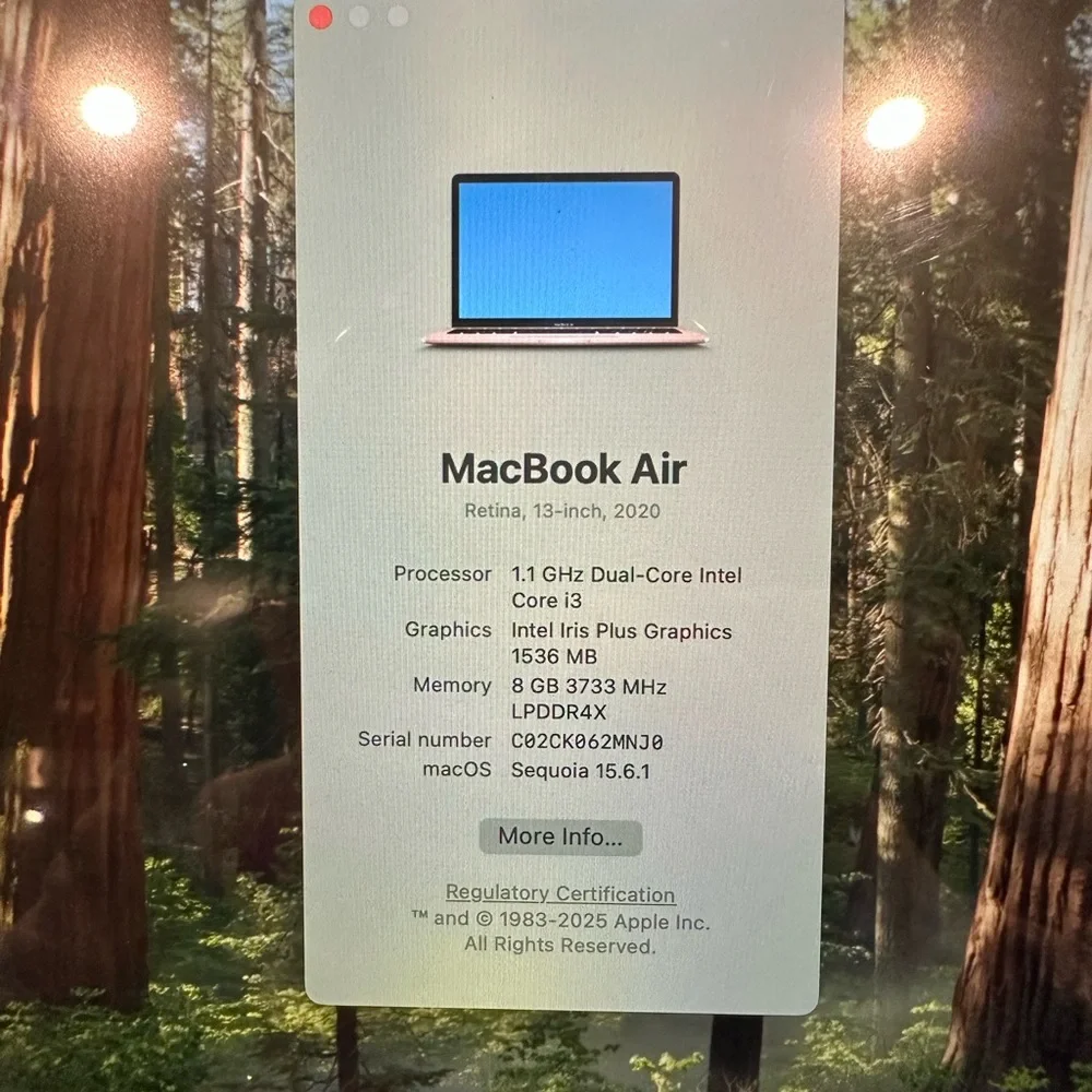 2020 MacBook Air - Perfect Working Condition w/accessories and original box
